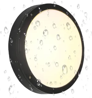 Ceiling Light, Die-Cast Aluminium Fully Sealed Moisture Resistant Light, Modern Minimalist Wall Sconce.11 inch Round, 20W, 3000K, IP65 Rainproof, Suitable for Walls or Ceilings in Wet Areas.