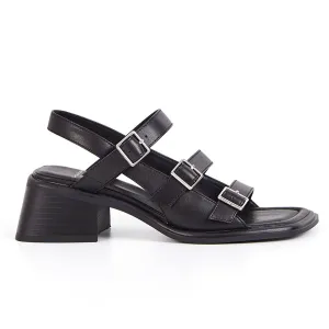 Ines 5711-001