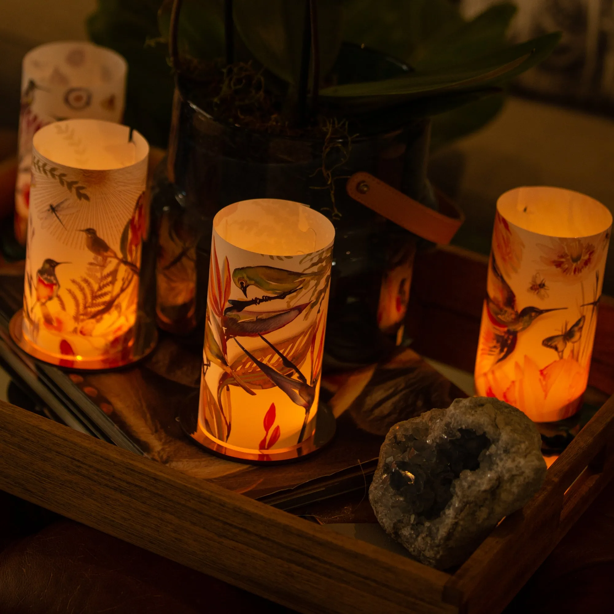 Paradise Candle Shade