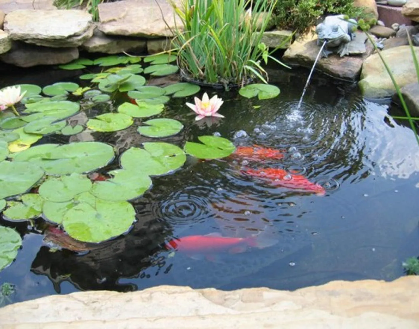 Pond Liner, 20 Mil 7 x 10 Feet Pond Liners for Outdoor Ponds, Black LDPE Fish Pond Liner for Small Ponds, Streams Fountains and Garden Waterfall