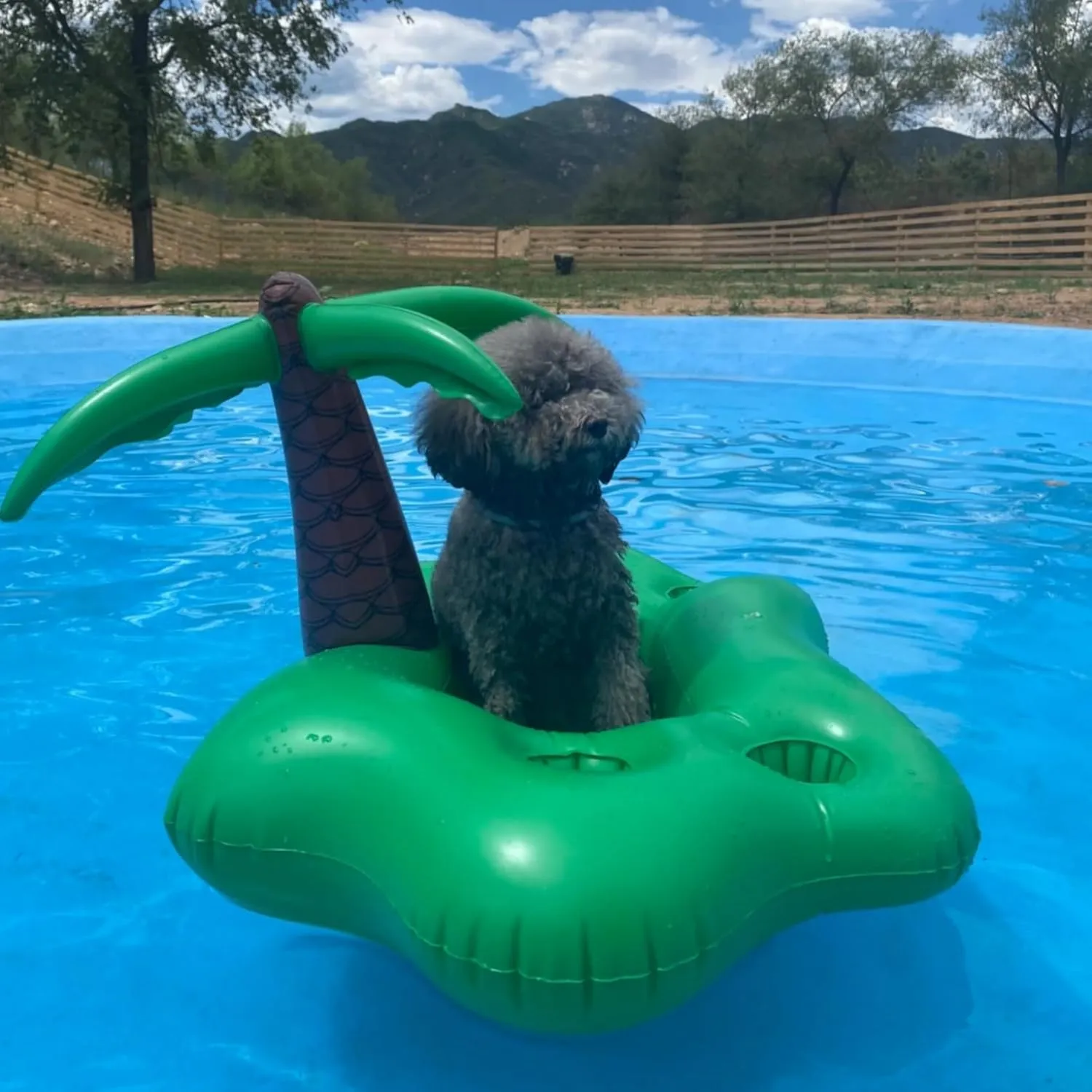 Swimming Pool Float Inflatable Pool Floats Raft for Small Dog Swimming Float for Summer, Scratch Resistant and Durable, Easy Set Up for Pool, Lake, River Premium Comfort Pet Water Float